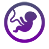 Embryology