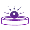 IVF